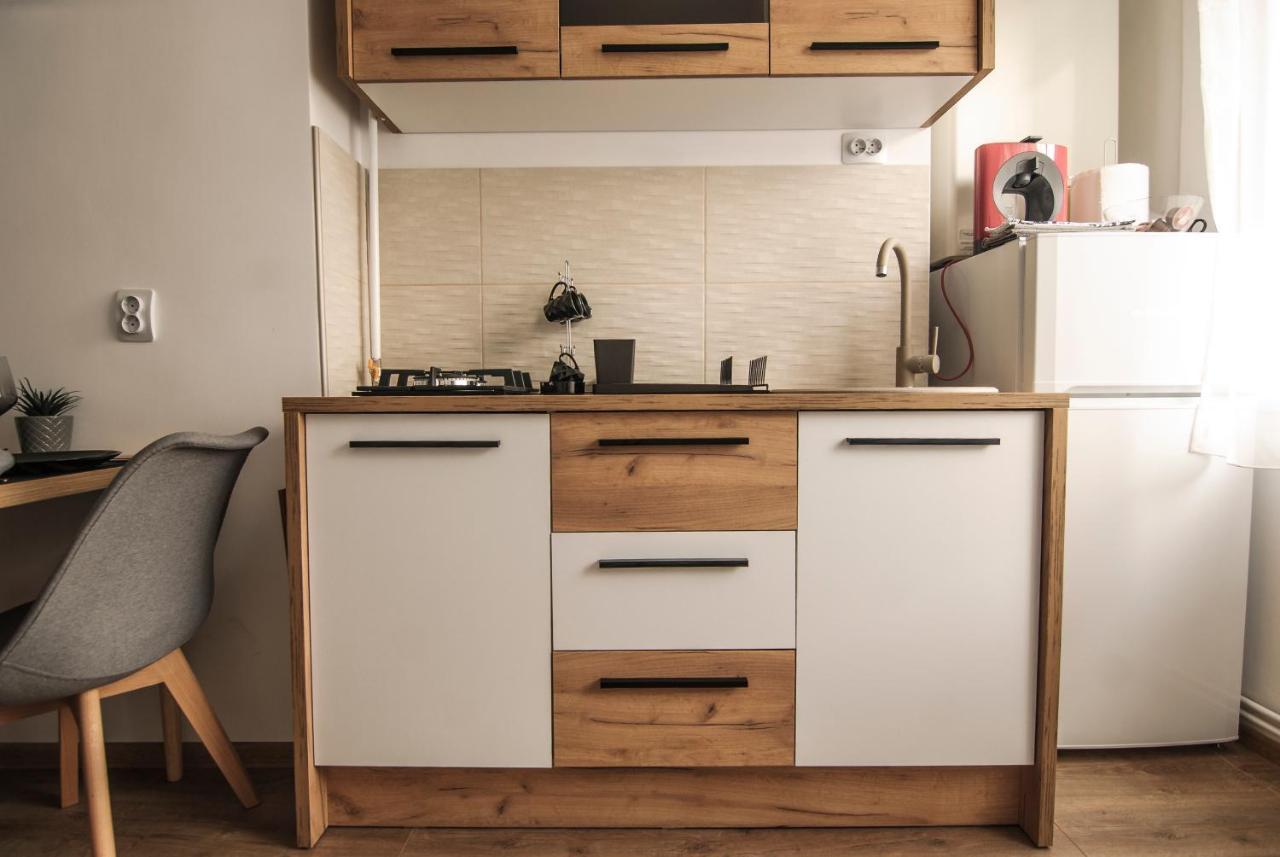 Central David Residence ブラショフ エクステリア 写真